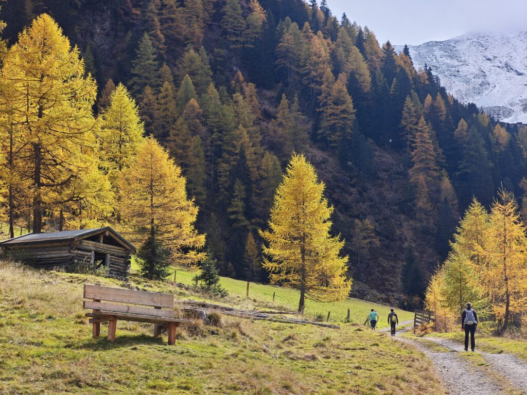 Herbstwanderung im Jaufental - mit den goldgelben Lärchen