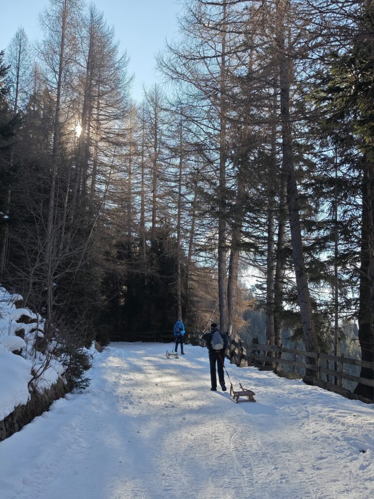 Aufstieg auf der Prantneralm Rodelbahn