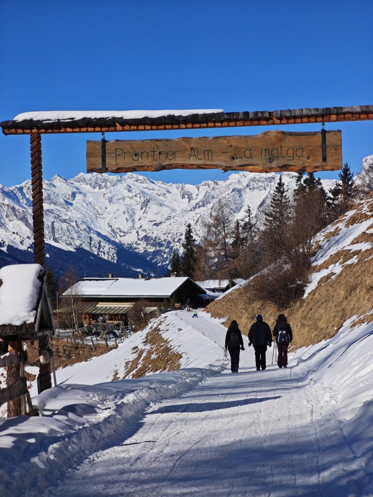 Prantneralm Rodelbahn in Sterzing